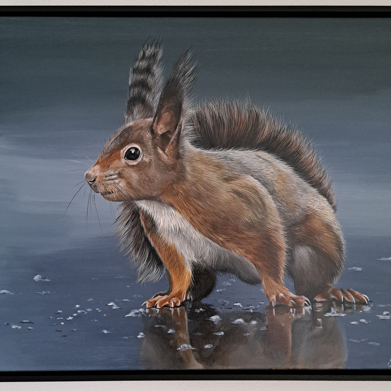 Eekhoorn acryl 60/70cm in zwarte baklijst € 700,-