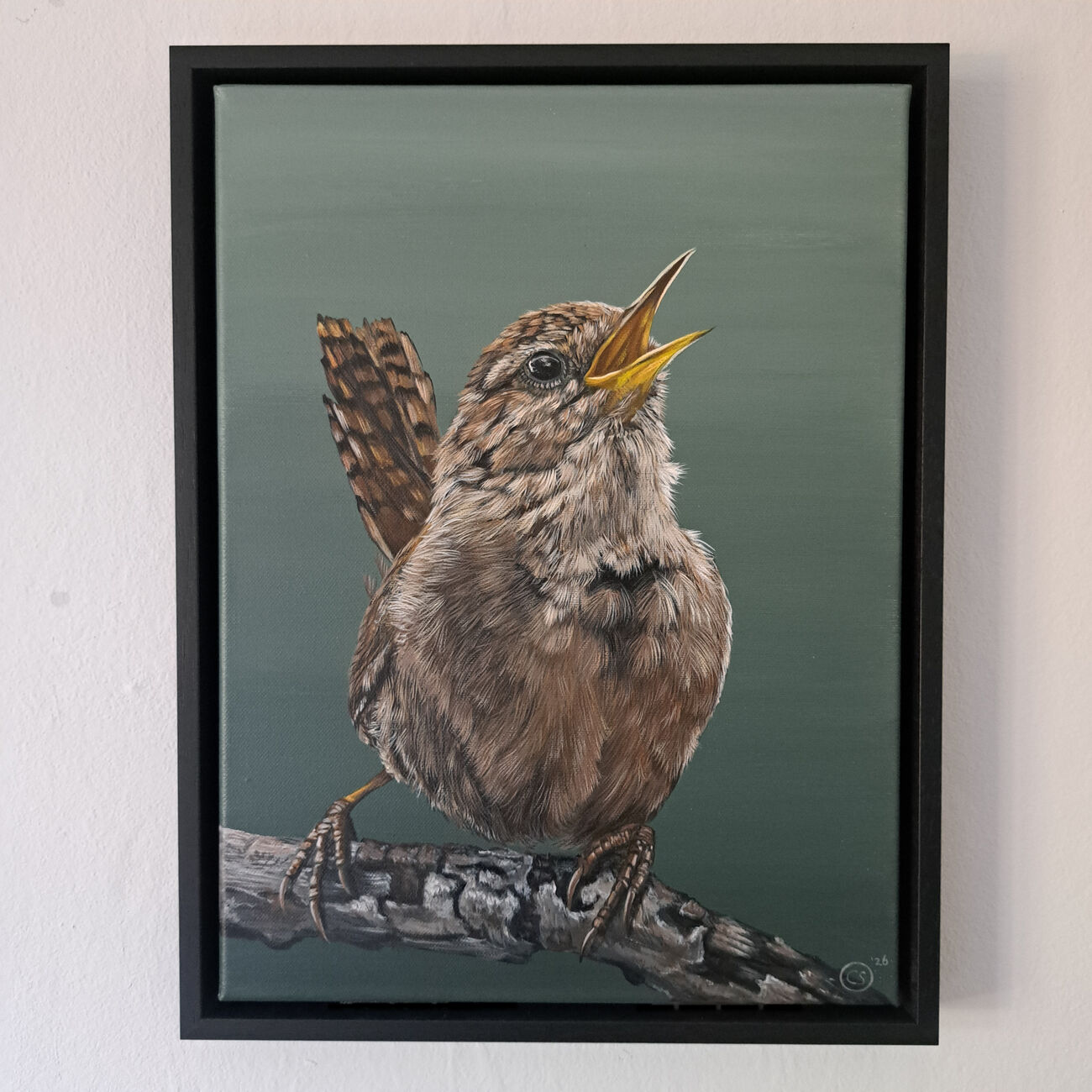Winterkoninkje acryl op canvas 30/40cm zwarte lijst € 450,-
