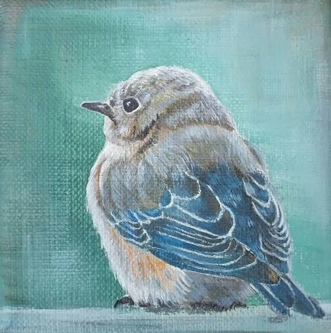 Jonge vogel