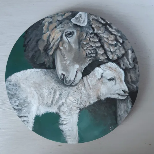 Schaap met lam
