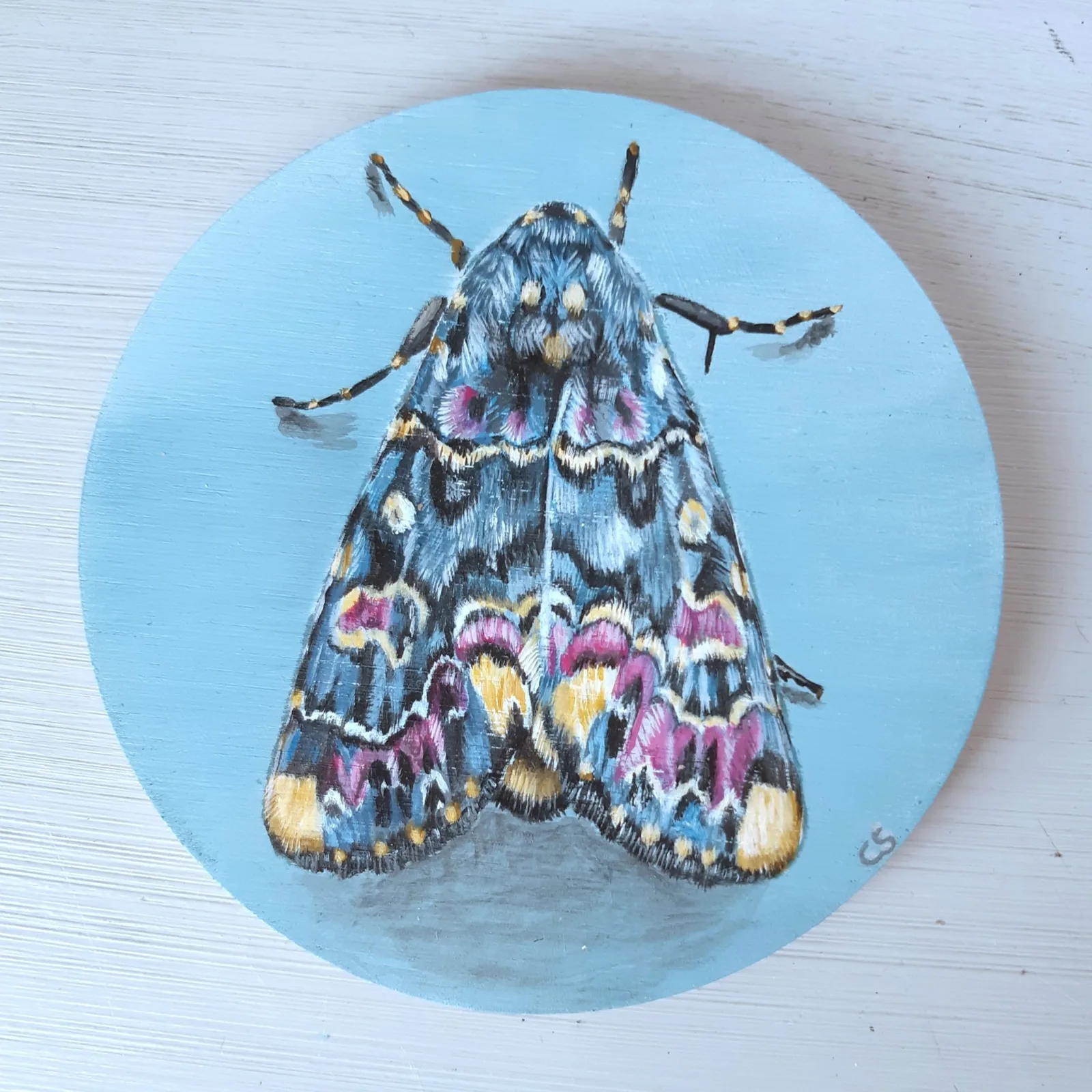 Night Moth