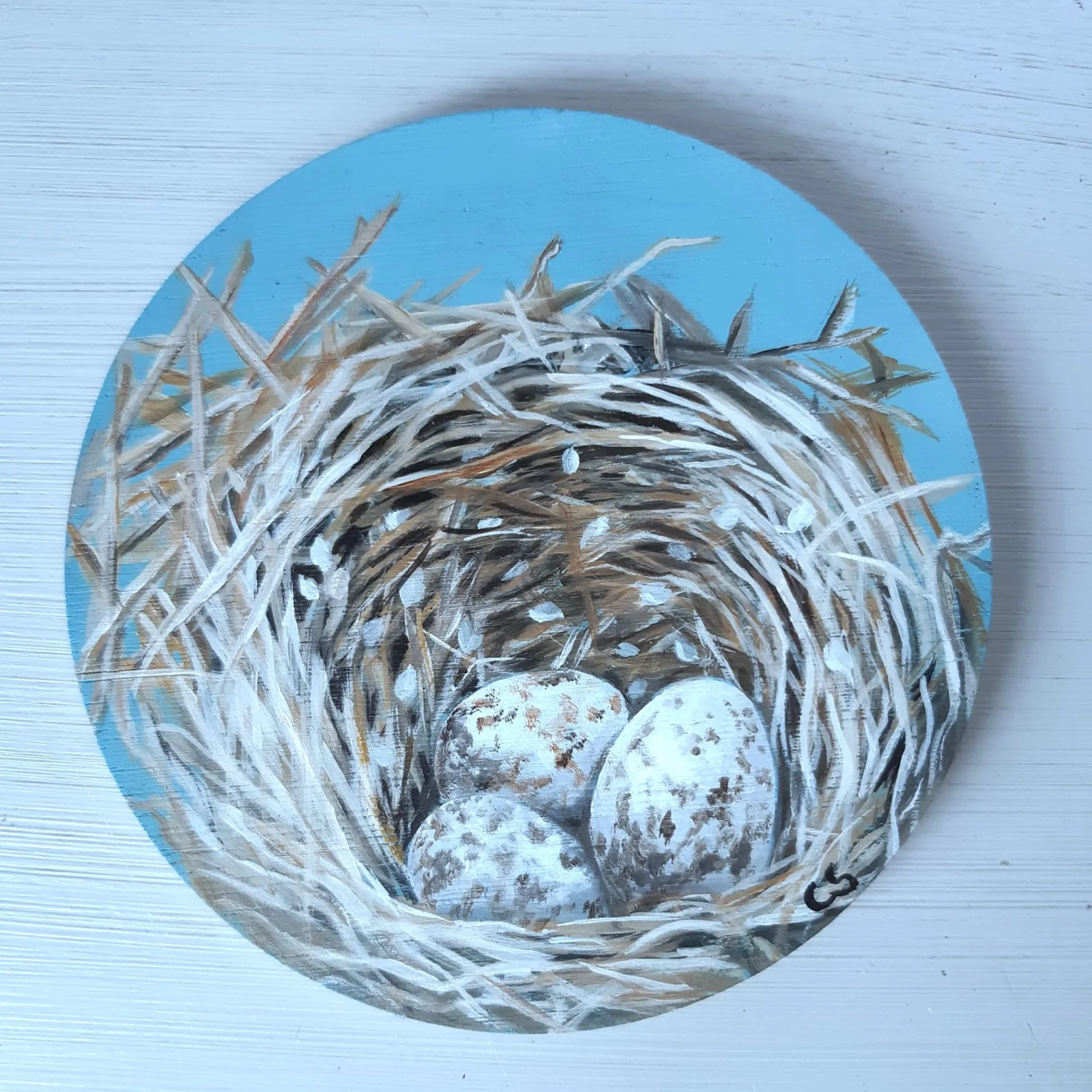 Nest met eieren