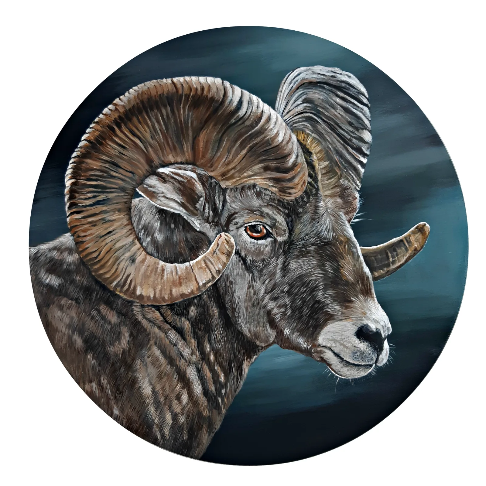 Mouflon