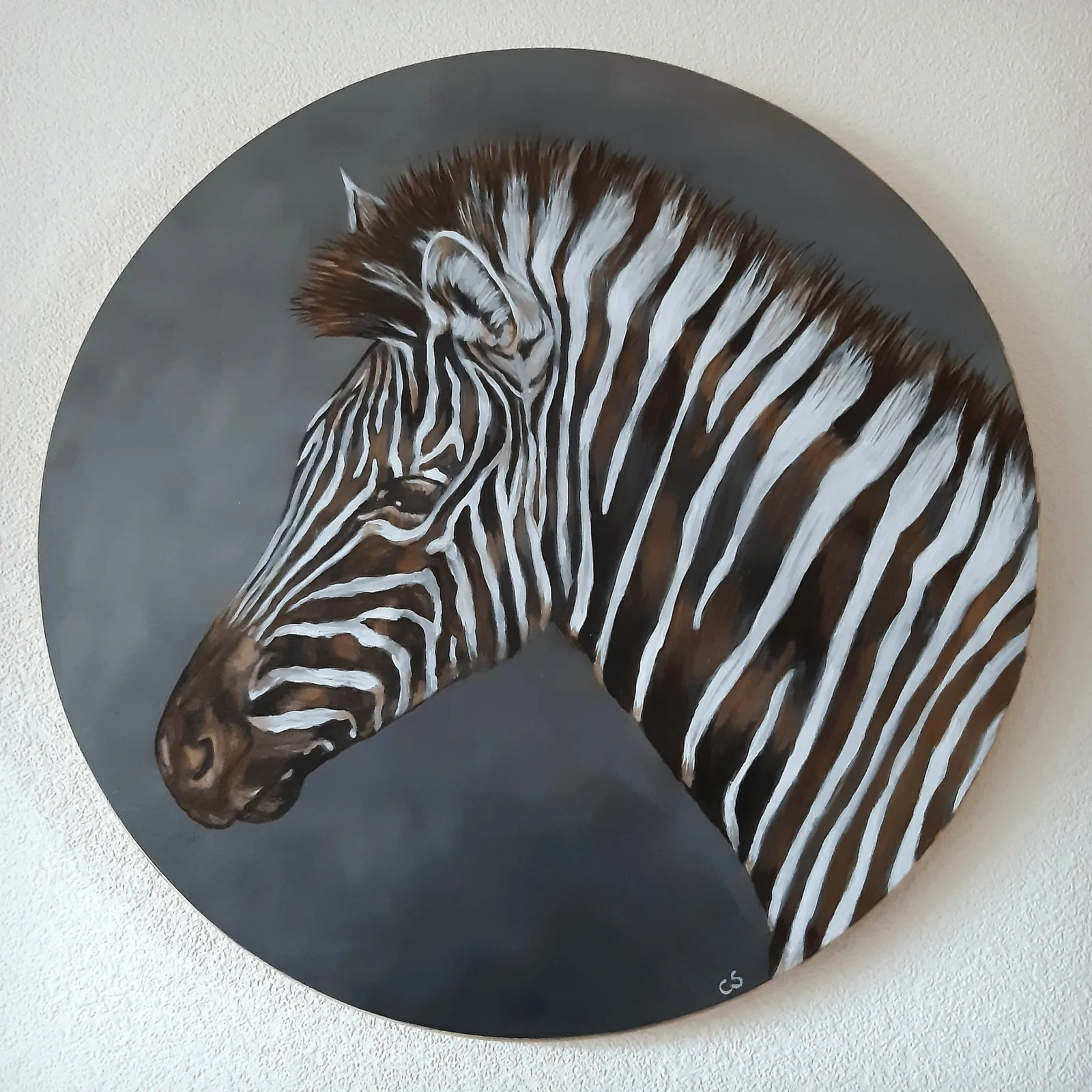Zebra