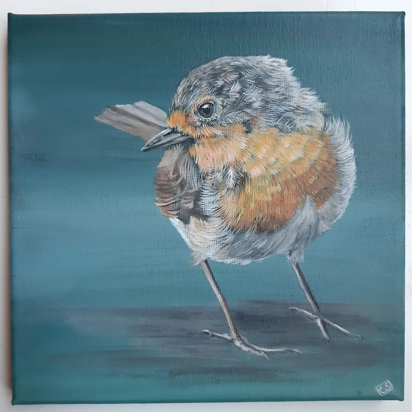 Robin