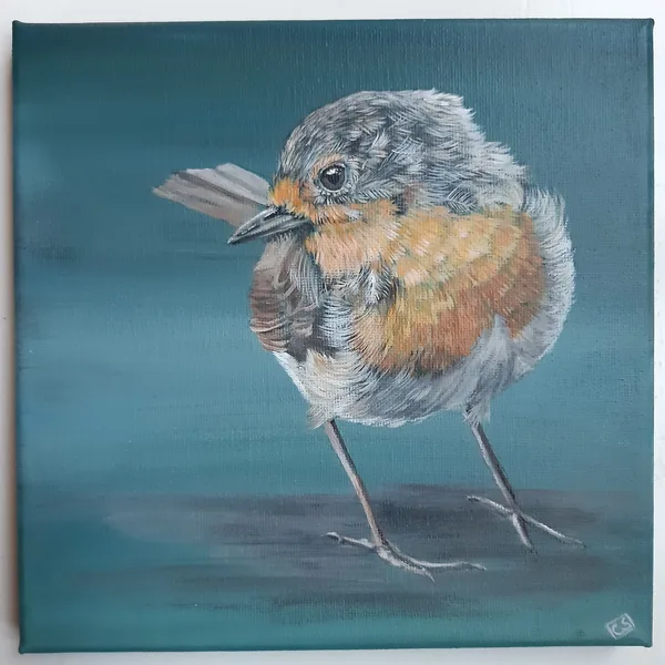 Roodborst