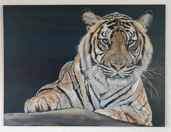 Tijger