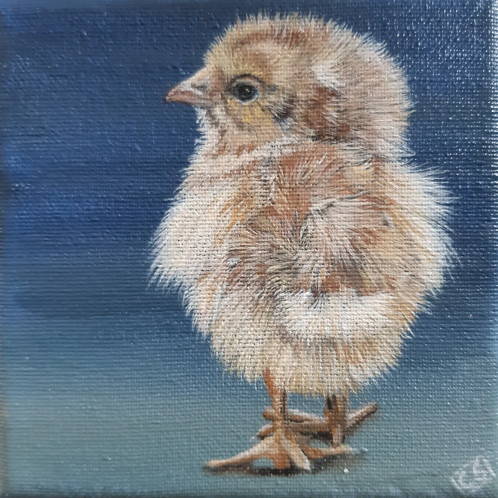 Chick