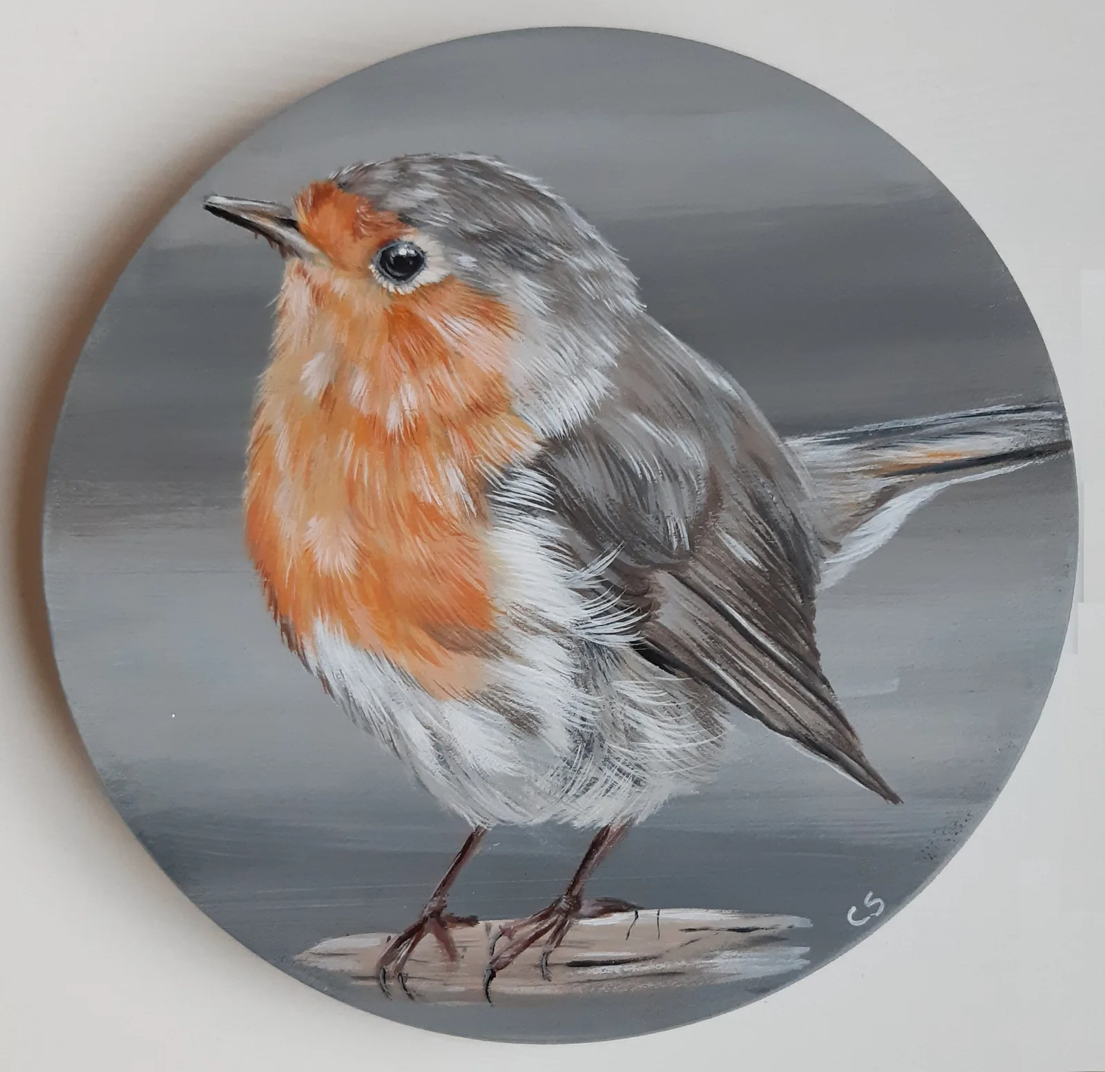 Robin