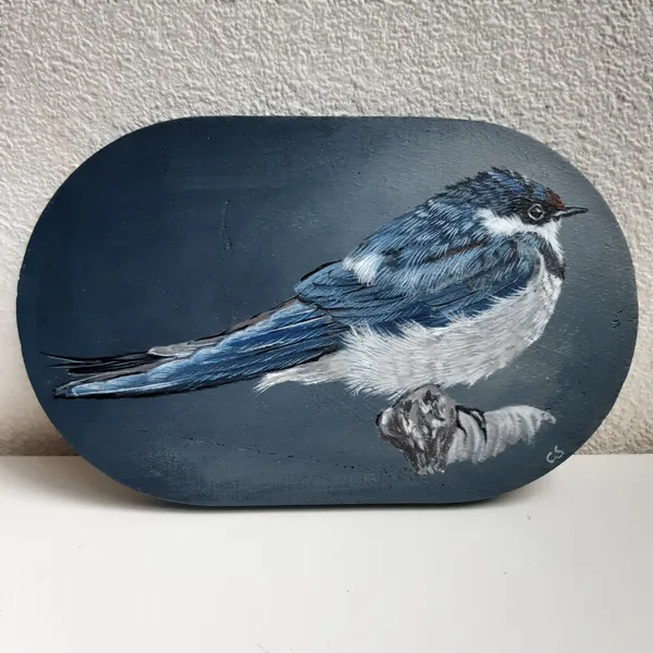 Zwaluw