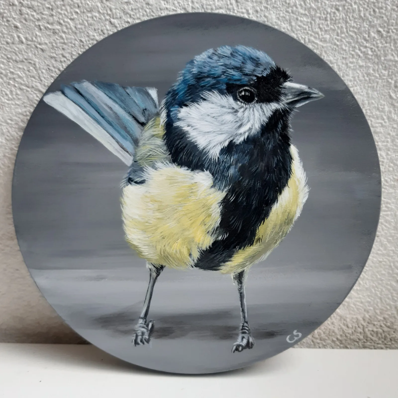 Great Tit