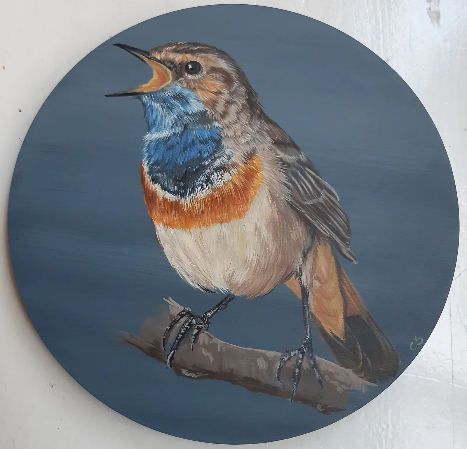Blauwborst