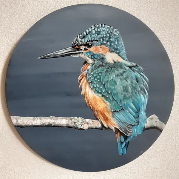 IJsvogel