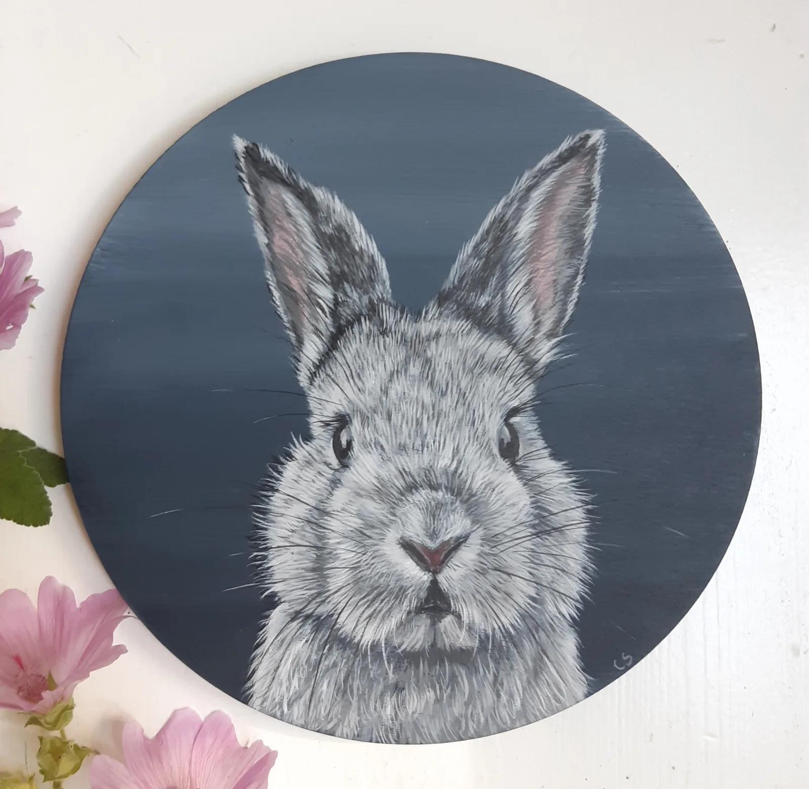 Rabbit