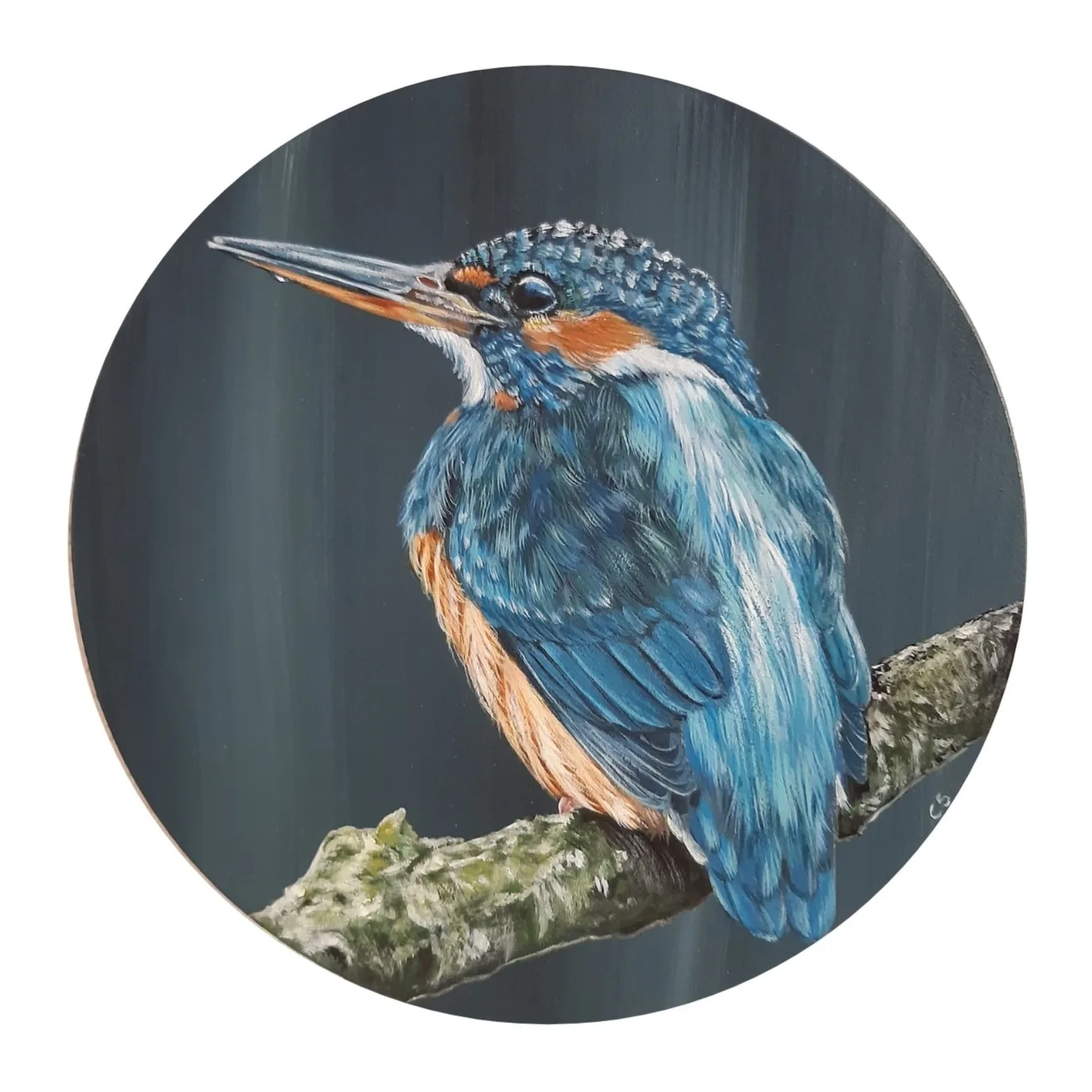 IJsvogel