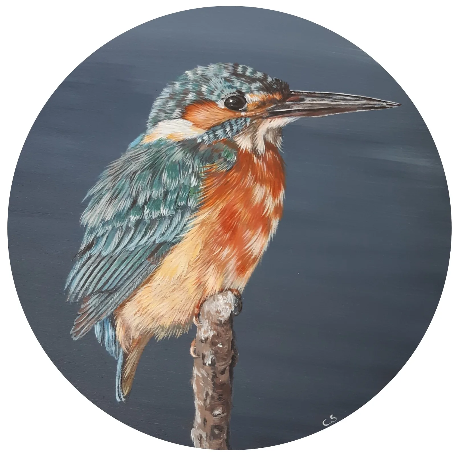 IJsvogel