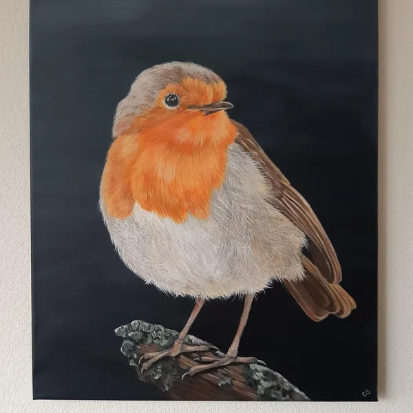 Roodborst