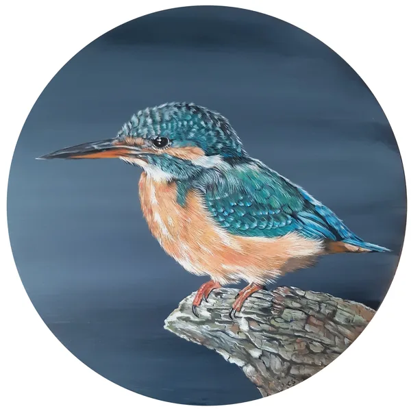 IJsvogel