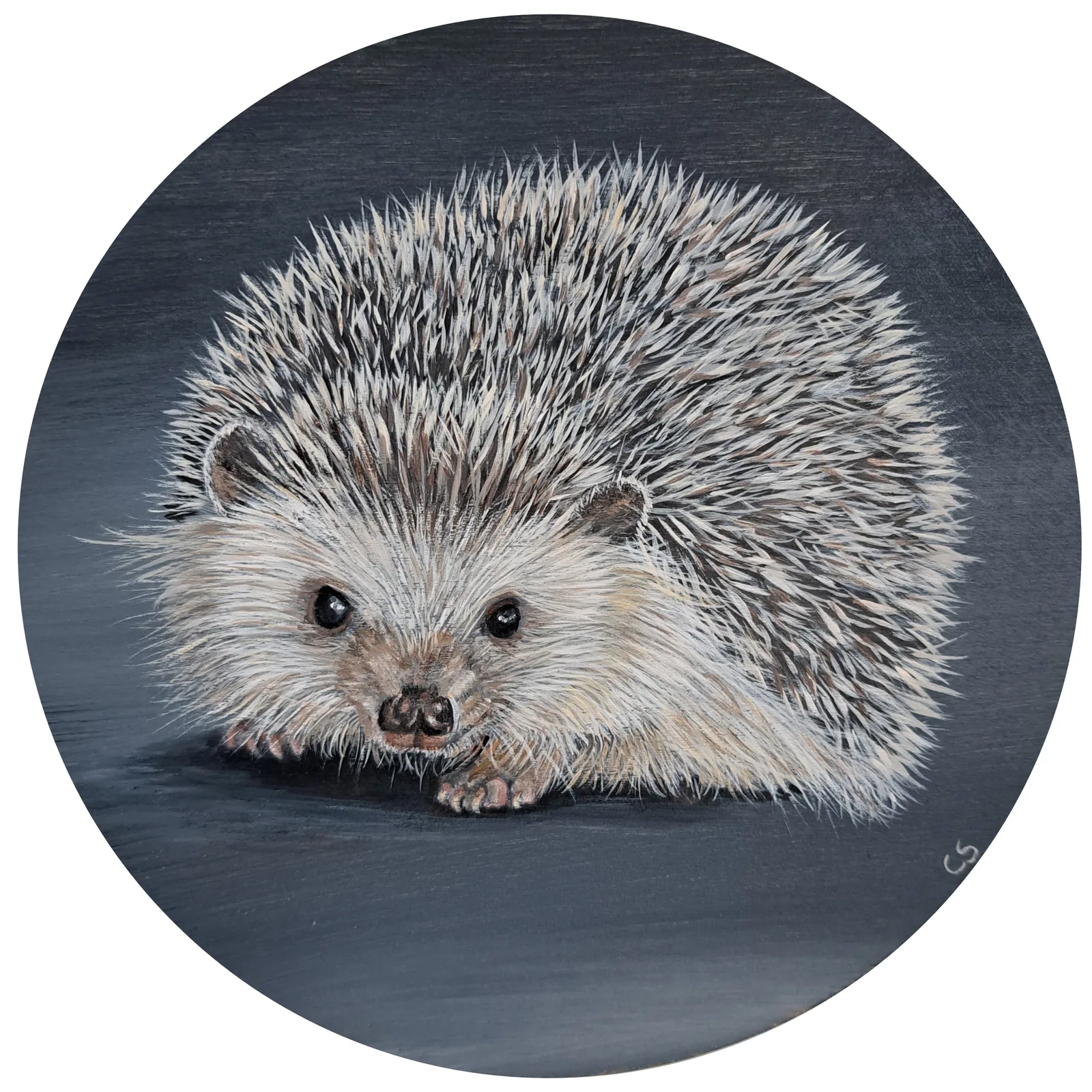 Hedgehog