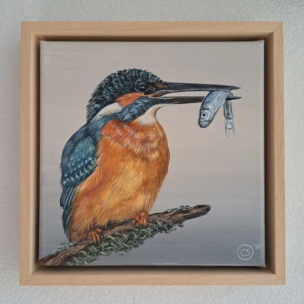 IJsvogel