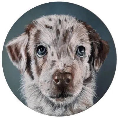 Huisdierportret van een hond op rond paneel